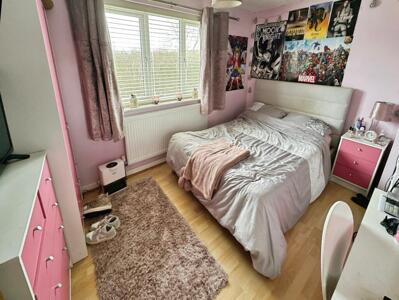 Picture 12